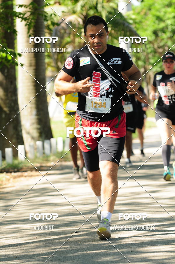 Compra tus fotos del eventoPIT BULL RUNNING En Fotop