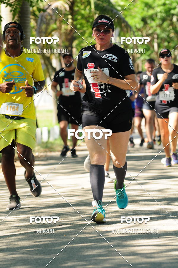 Compra tus fotos del eventoPIT BULL RUNNING En Fotop