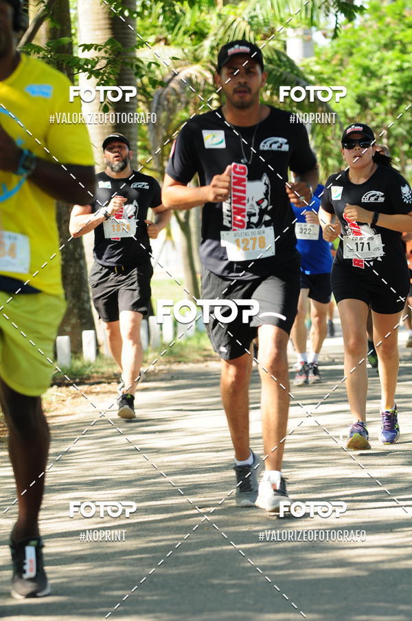 Compra tus fotos del eventoPIT BULL RUNNING En Fotop