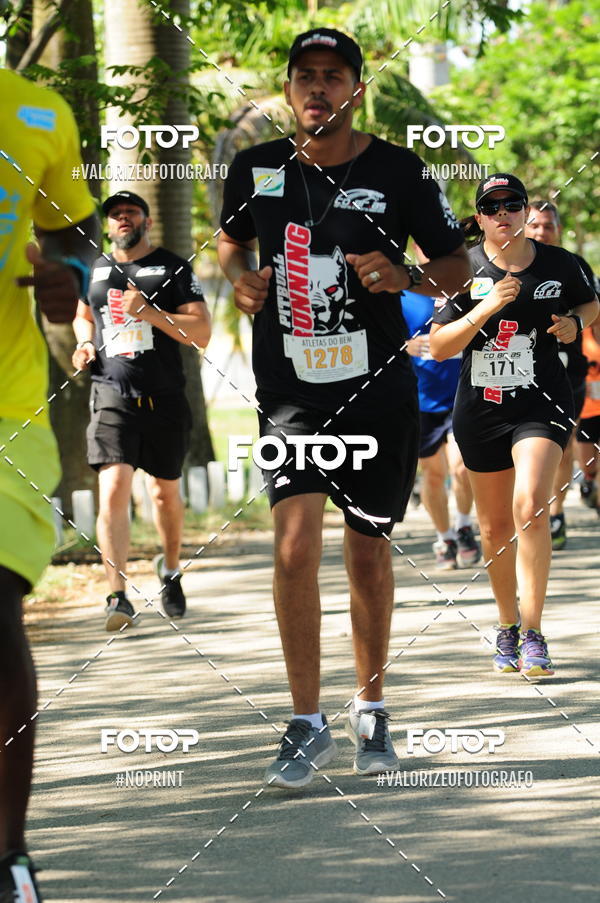 Compra tus fotos del eventoPIT BULL RUNNING En Fotop