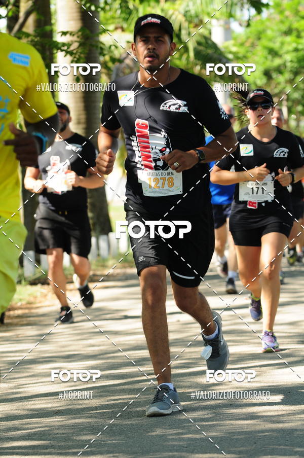 Compra tus fotos del eventoPIT BULL RUNNING En Fotop