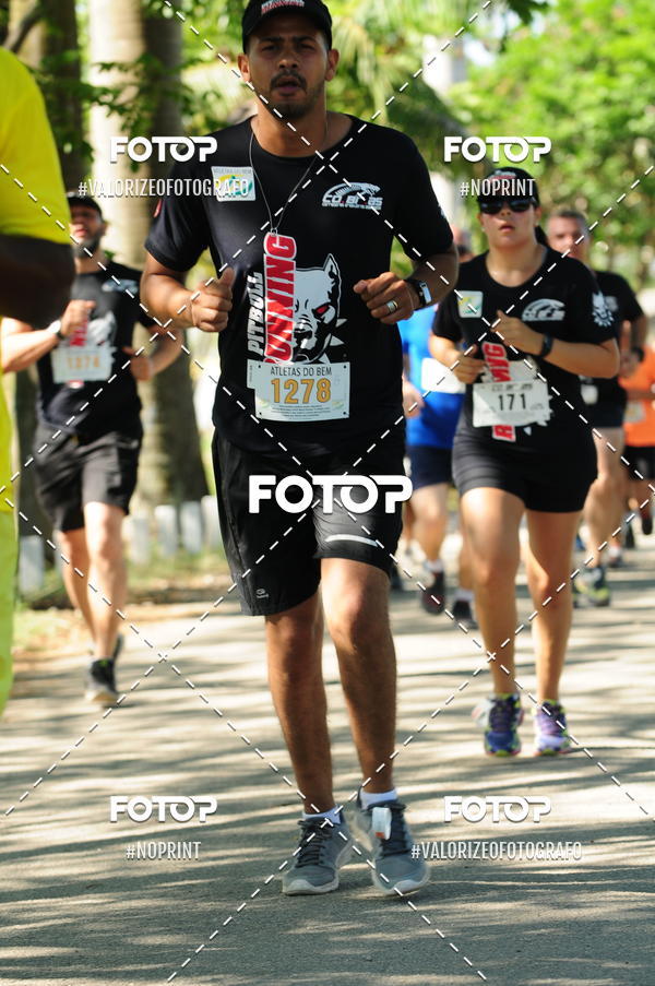 Compra tus fotos del eventoPIT BULL RUNNING En Fotop