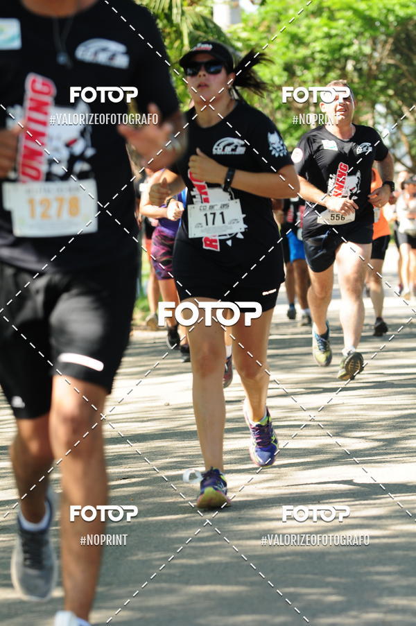 Compra tus fotos del eventoPIT BULL RUNNING En Fotop