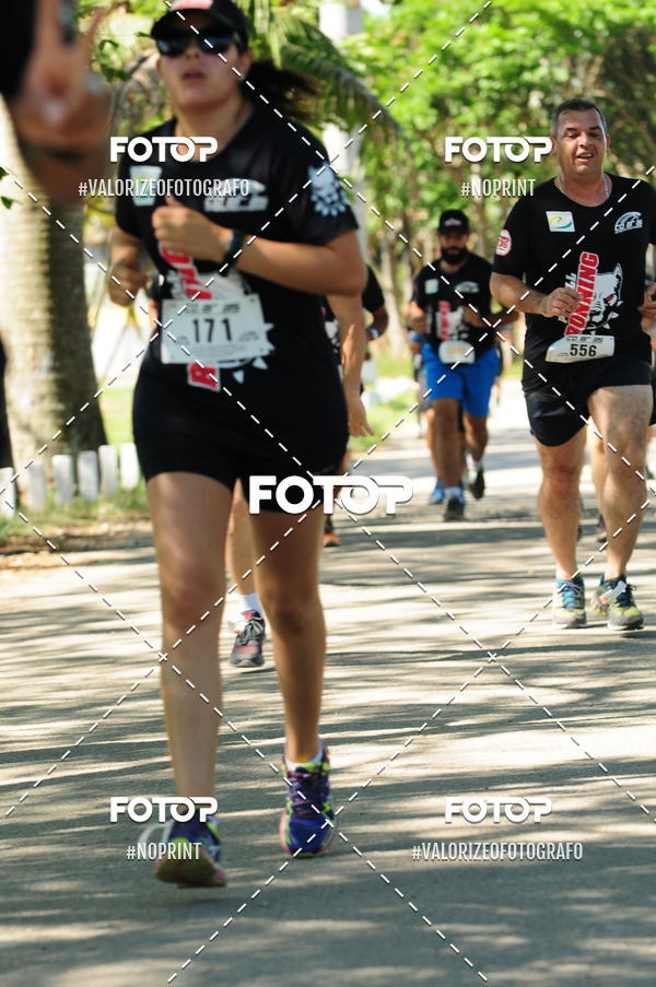 Compra tus fotos del eventoPIT BULL RUNNING En Fotop