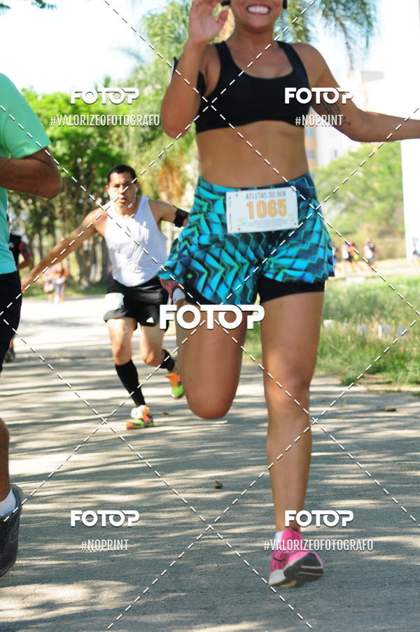 Acquista le foto dell'eventoPIT BULL RUNNING in Fotop