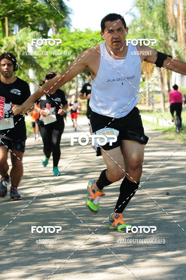 Acquista le foto dell'eventoPIT BULL RUNNING in Fotop