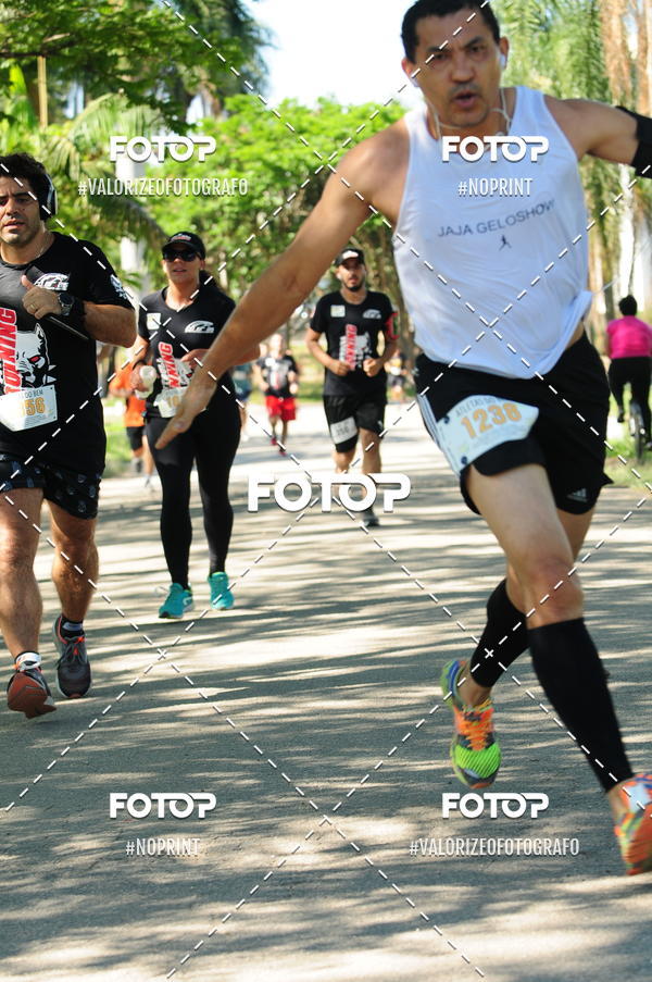 Acquista le foto dell'eventoPIT BULL RUNNING in Fotop