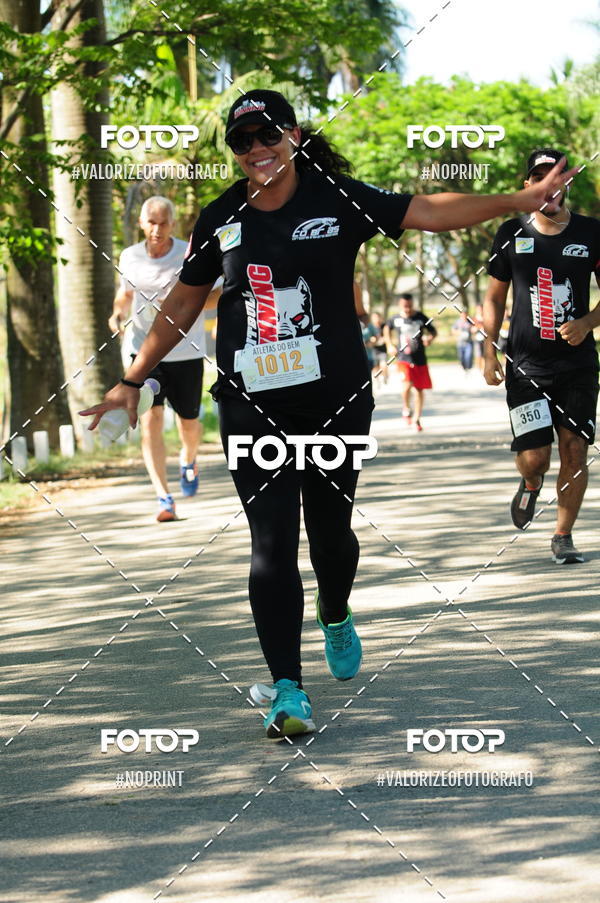 Acquista le foto dell'eventoPIT BULL RUNNING in Fotop