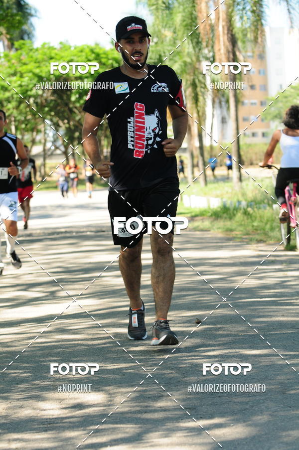 Acquista le foto dell'eventoPIT BULL RUNNING in Fotop