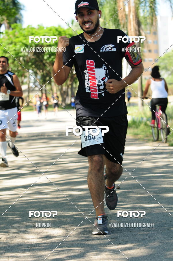 Acquista le foto dell'eventoPIT BULL RUNNING in Fotop