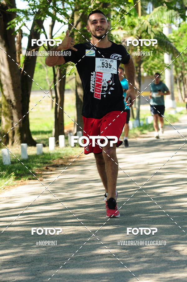 Compra tus fotos del eventoPIT BULL RUNNING En Fotop