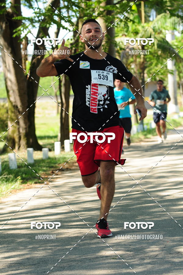 Compra tus fotos del eventoPIT BULL RUNNING En Fotop
