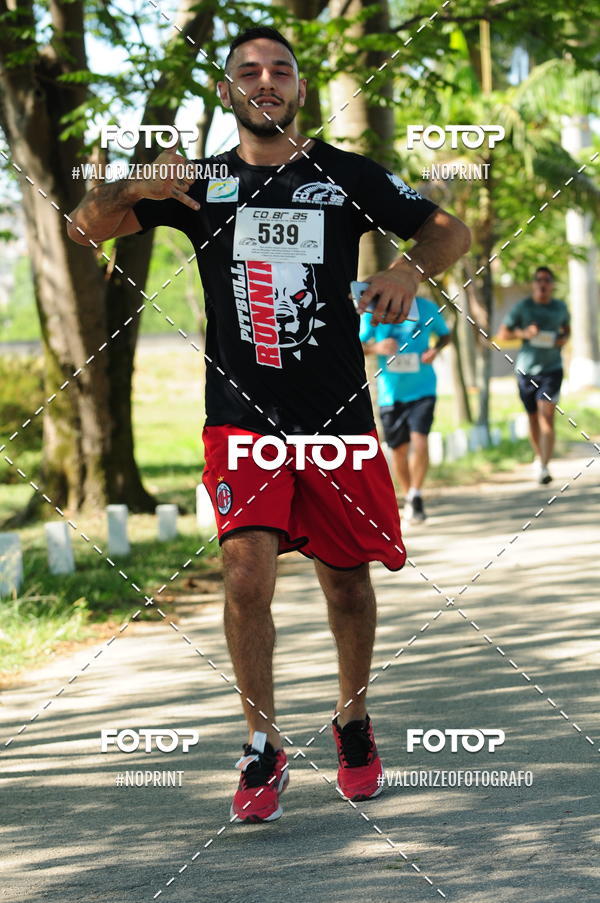 Compra tus fotos del eventoPIT BULL RUNNING En Fotop