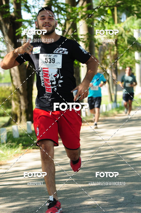 Compra tus fotos del eventoPIT BULL RUNNING En Fotop