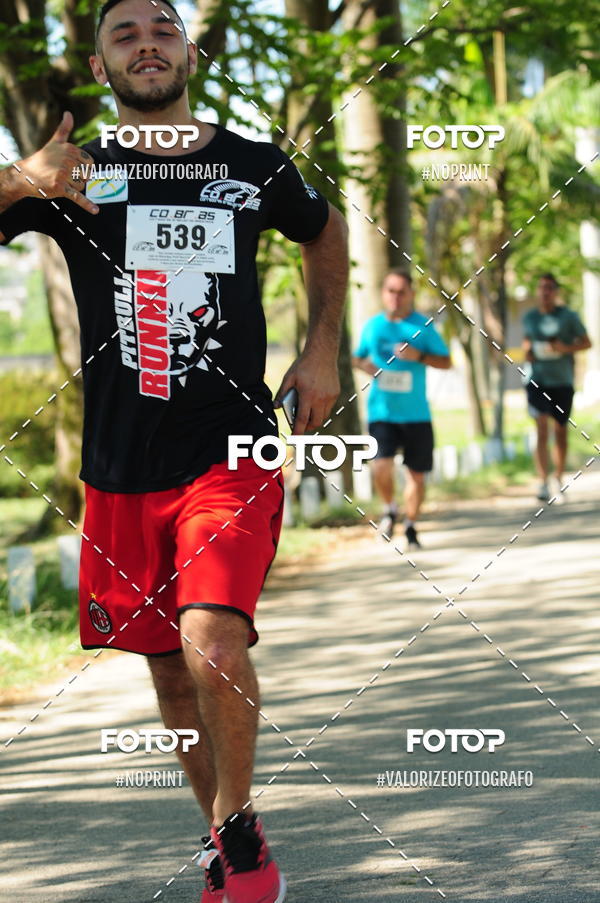 Compra tus fotos del eventoPIT BULL RUNNING En Fotop