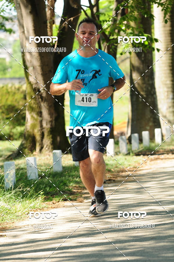 Compra tus fotos del eventoPIT BULL RUNNING En Fotop