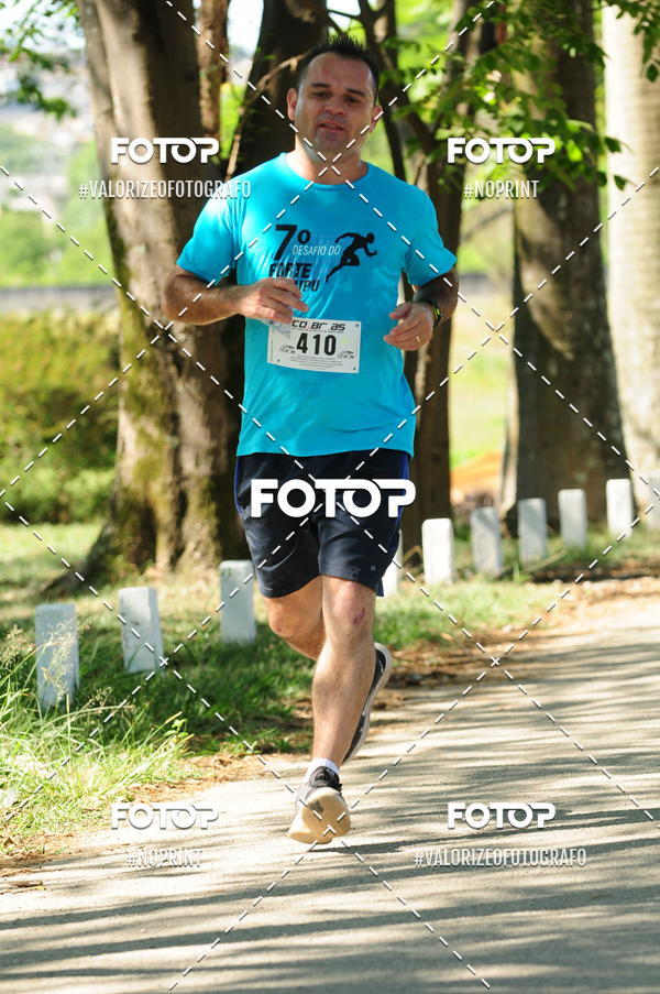 Compra tus fotos del eventoPIT BULL RUNNING En Fotop