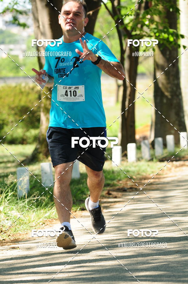 Compra tus fotos del eventoPIT BULL RUNNING En Fotop