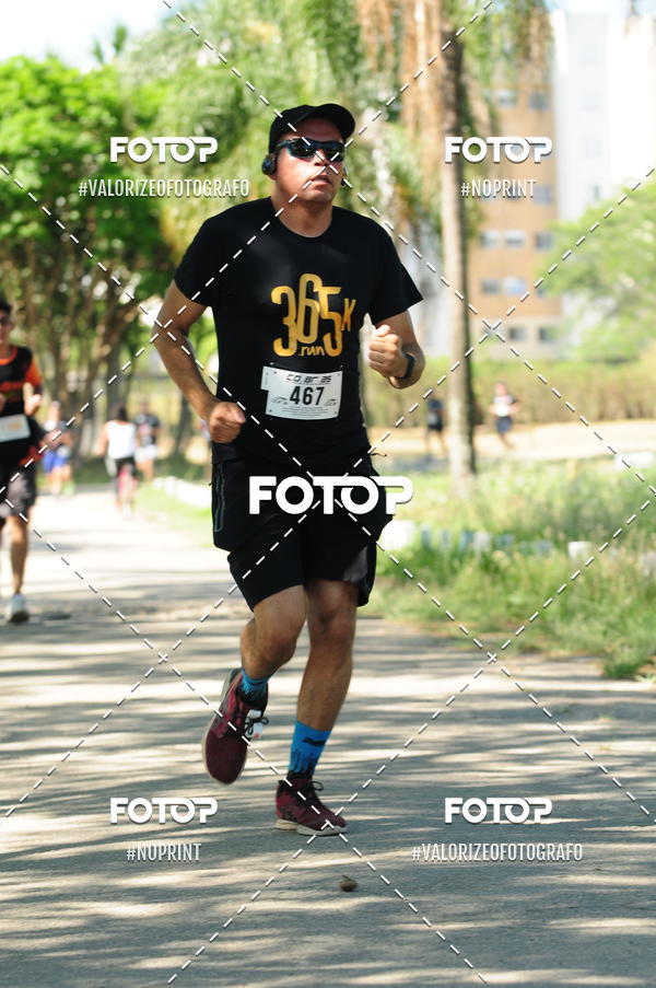 Compra tus fotos del eventoPIT BULL RUNNING En Fotop