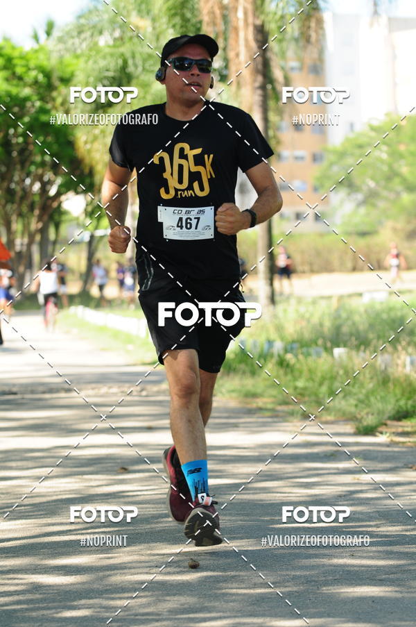 Compra tus fotos del eventoPIT BULL RUNNING En Fotop