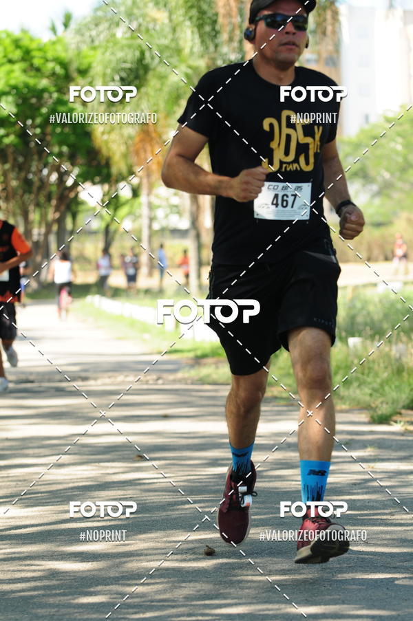 Compra tus fotos del eventoPIT BULL RUNNING En Fotop