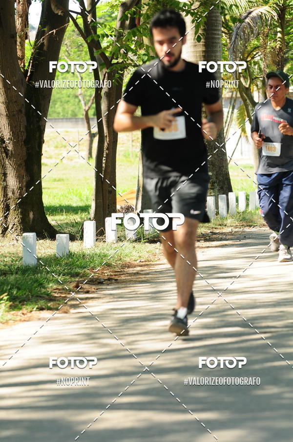 Compra tus fotos del eventoPIT BULL RUNNING En Fotop