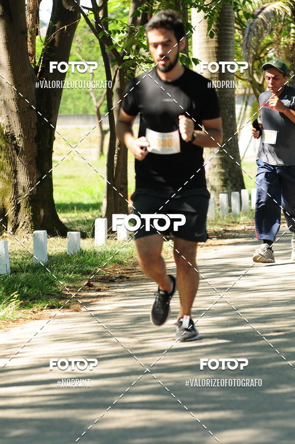 Compra tus fotos del eventoPIT BULL RUNNING En Fotop