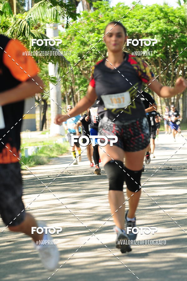 Compra tus fotos del eventoPIT BULL RUNNING En Fotop