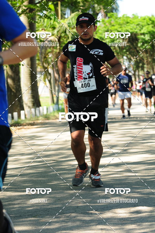 Compra tus fotos del eventoPIT BULL RUNNING En Fotop