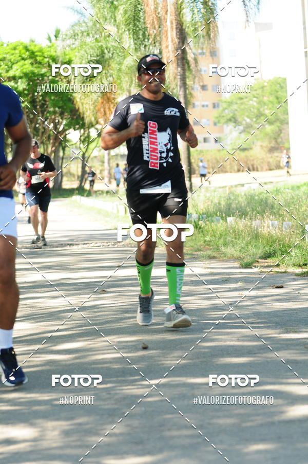 Compra tus fotos del eventoPIT BULL RUNNING En Fotop