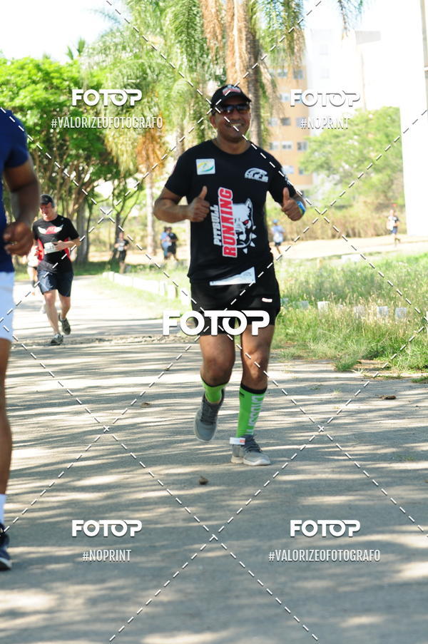 Compra tus fotos del eventoPIT BULL RUNNING En Fotop