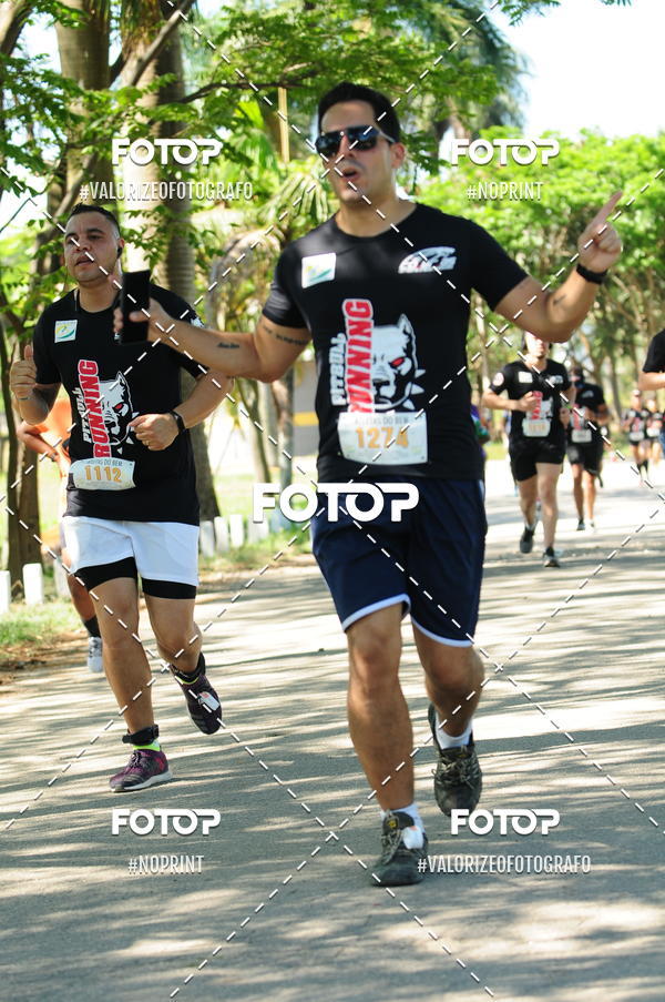 Compra tus fotos del eventoPIT BULL RUNNING En Fotop