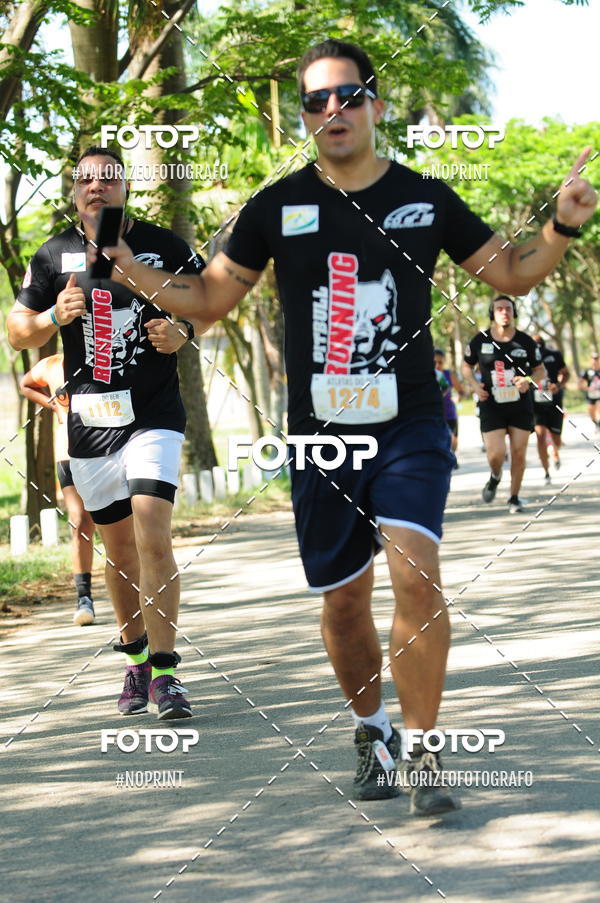 Compra tus fotos del eventoPIT BULL RUNNING En Fotop