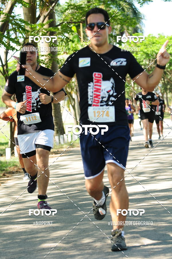 Compra tus fotos del eventoPIT BULL RUNNING En Fotop