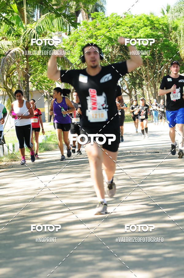 Compra tus fotos del eventoPIT BULL RUNNING En Fotop