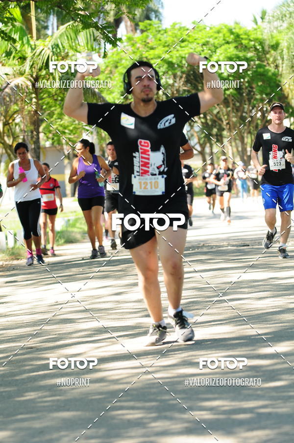 Compra tus fotos del eventoPIT BULL RUNNING En Fotop