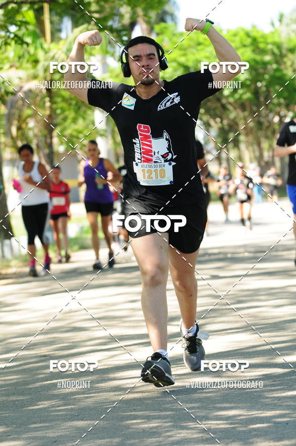 Compra tus fotos del eventoPIT BULL RUNNING En Fotop