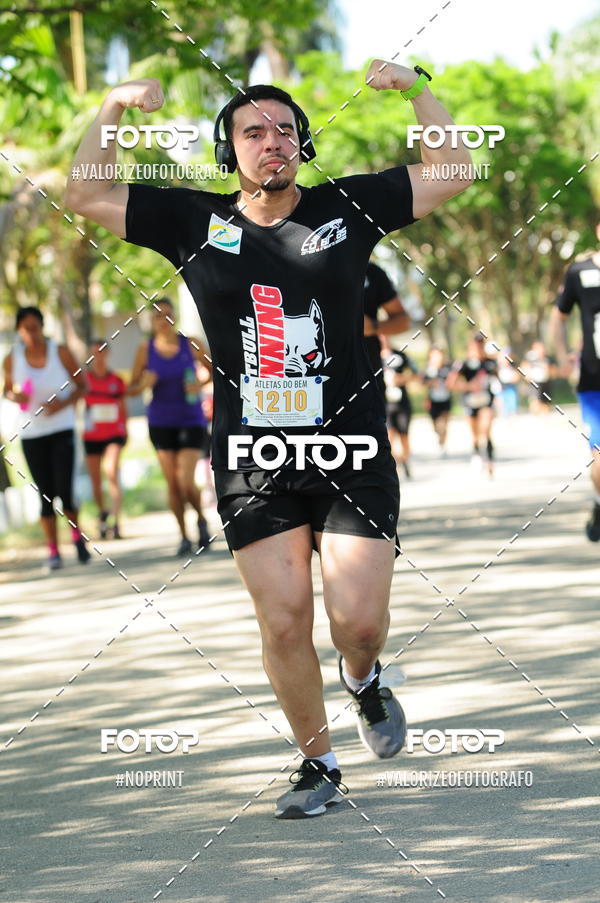 Compra tus fotos del eventoPIT BULL RUNNING En Fotop