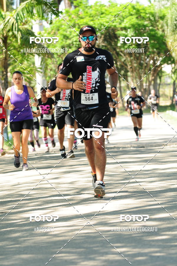 Compra tus fotos del eventoPIT BULL RUNNING En Fotop