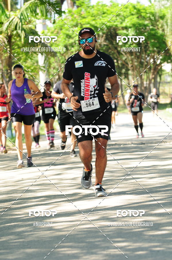 Compra tus fotos del eventoPIT BULL RUNNING En Fotop