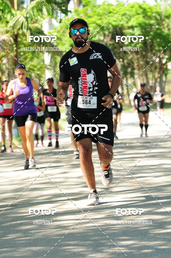 Compra tus fotos del eventoPIT BULL RUNNING En Fotop