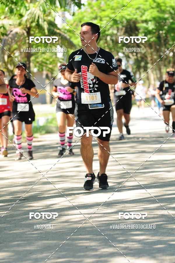 Compra tus fotos del eventoPIT BULL RUNNING En Fotop