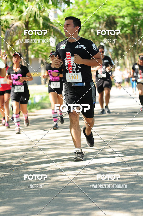 Acquista le foto dell'eventoPIT BULL RUNNING in Fotop