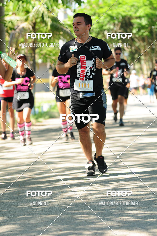 Compra tus fotos del eventoPIT BULL RUNNING En Fotop