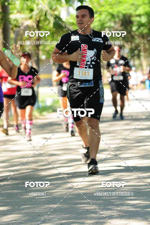 Compra tus fotos del eventoPIT BULL RUNNING En Fotop