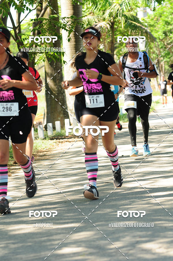 Acquista le foto dell'eventoPIT BULL RUNNING in Fotop