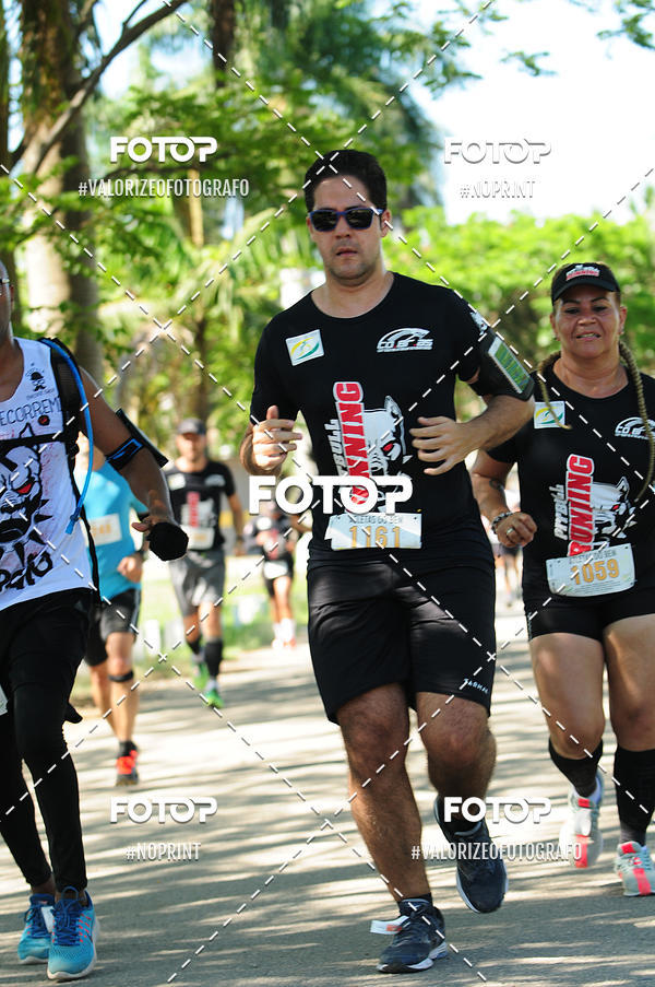 Acquista le foto dell'eventoPIT BULL RUNNING in Fotop