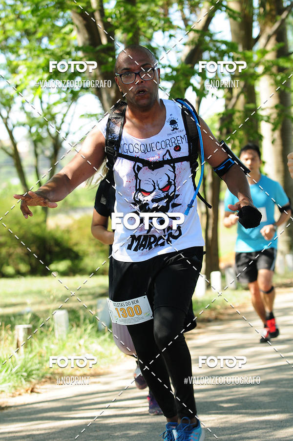 Acquista le foto dell'eventoPIT BULL RUNNING in Fotop