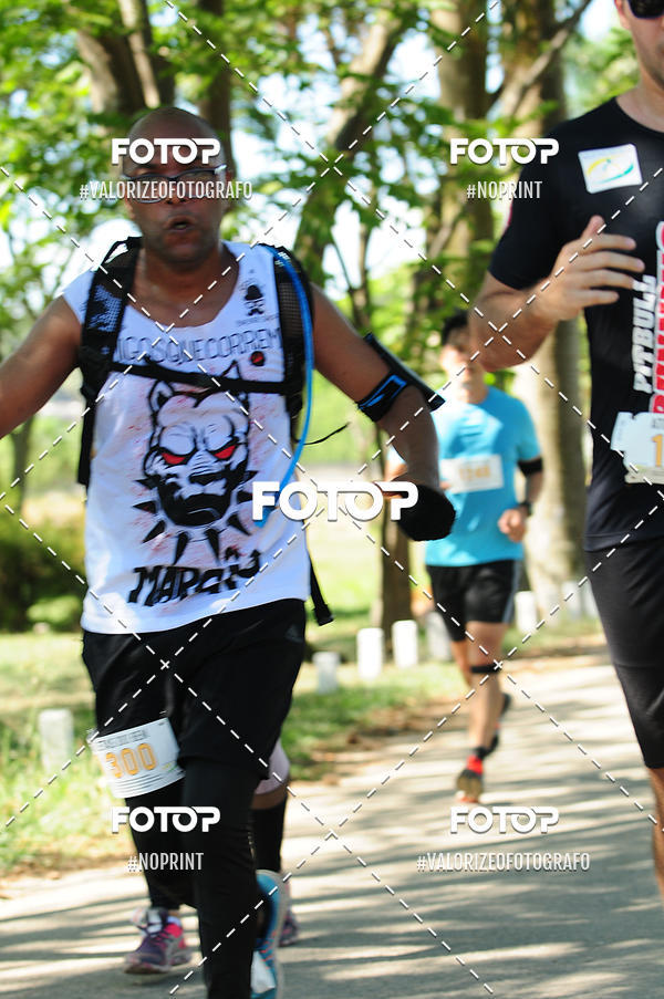 Acquista le foto dell'eventoPIT BULL RUNNING in Fotop