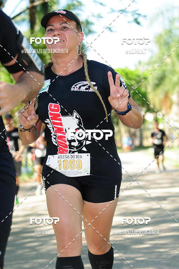 Acquista le foto dell'eventoPIT BULL RUNNING in Fotop